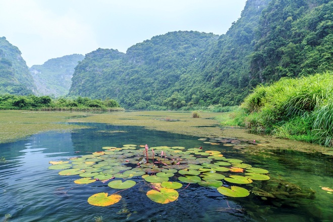 Peaceful autumn on Ngo Dong river
